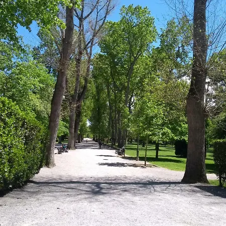 Daire Apartamento Centro Junto Al Paseo De Begona